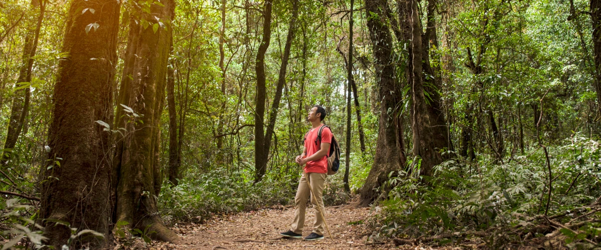 backpacker-in-the-forest
